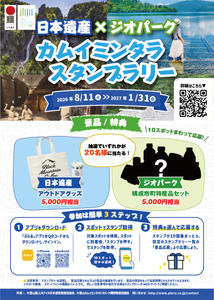 チラシ